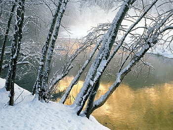 Nature, Water, Rivers, Trees, Snow, Shore, Bank, Slope, Incline HD wallpaper