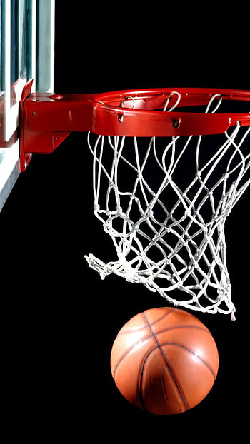 Wall net basket ball, nba, net HD phone wallpaper