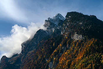 Nature, Trees, Mountains, Clouds, Rocks, Fog HD wallpaper
