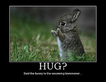 demotivational poster, bunny, cute, funny, lawn HD wallpaper