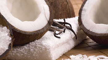 Fantastic coconut , High definition, Stunning visuals, Tropical aesthetics HD wallpaper