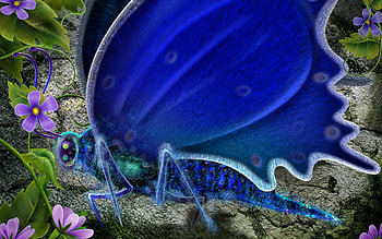 ButterflyInffect, abstract, butterfly, fantasy HD wallpaper