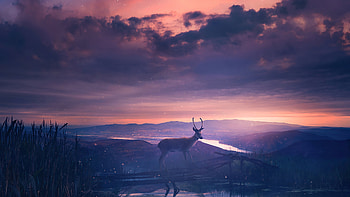 Twilight Deer , deer, artist, artwork, digital-art HD wallpaper