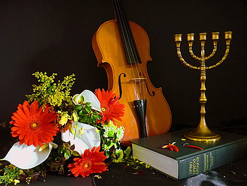 Still life, musuc, book, candle, flowers, violin HD wallpaper
