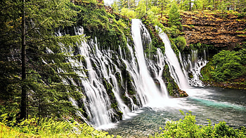 Burney Falls at McArthur-Burney Falls Memorial State Park in Shasta County, California, cliff, usa, river, trees, cascades, pond HD wallpaper