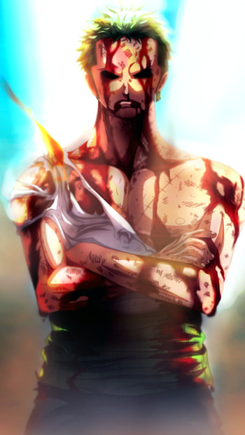 Roronoa Zoro, Anime, One Piece HD phone wallpaper