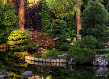 Amazing garden, garden, colors, nature, grass, lake, tree HD wallpaper