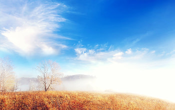 Fog Trees Cloud, nature, fog, trees, cloud, landscape HD wallpaper