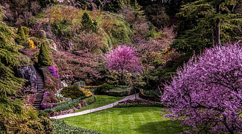 Spring at Butchart Gardens, path, sidewalk, Canada, Brentwood Bay, steps, grass, walkway, British Columbia, stairs, Butchart Gardens, trees, flowers, Spring HD wallpaper