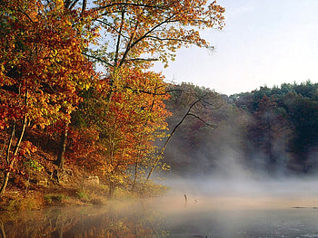 Misty Lake, trees, nature, misty, lake HD wallpaper