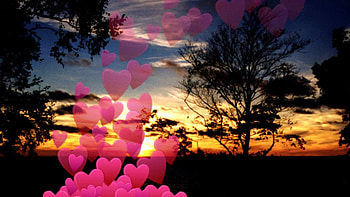 Love Nature, love, hearts, paradise, nature, sunset, tree HD wallpaper