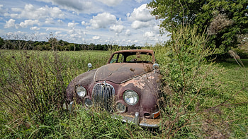 Abandoned-Car, Nature, Car, grass, Abandoned HD wallpaper