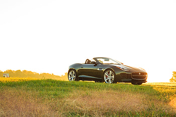 Jaguar, Cars, Side View, Cabriolet, F-Type, V8 S HD wallpaper