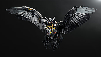 Strix owl HD wallpaper