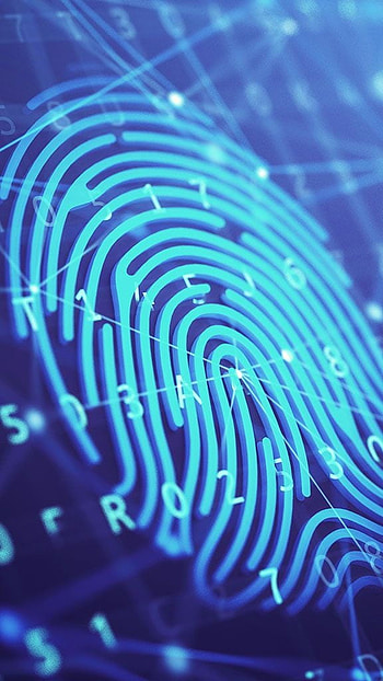 Fingerprint, Digital Technology HD phone wallpaper