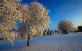 Landscape, Nature HD wallpaper