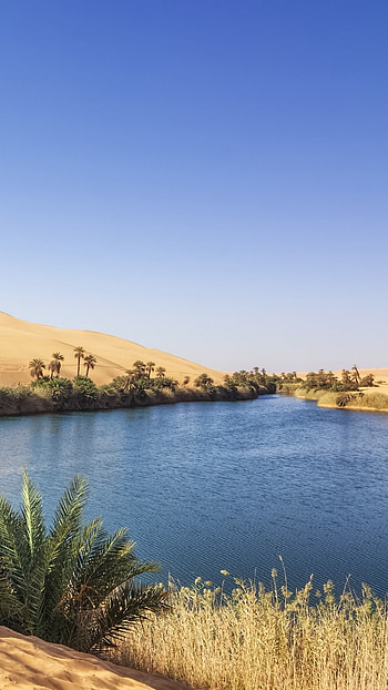 Libya Travels, Umm El Ma oasis, Fezzan region, Sahara desert beauty HD phone wallpaper