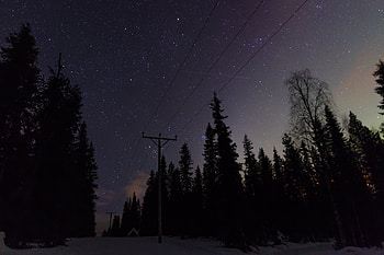 Trees, Night, Dark, Starry Sky, Pillars, Posts, Wire, Wires HD wallpaper