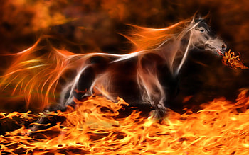 Run in fire, horses, 3d HD wallpaper