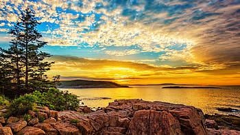 Coastal sunrise, island, sea, golden, coast, USA, rocks, sunrise, national park, reflection, clouds, view, desert, sky HD wallpaper