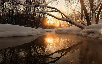 Winter River, trees, river, winter, nature, snow HD wallpaper