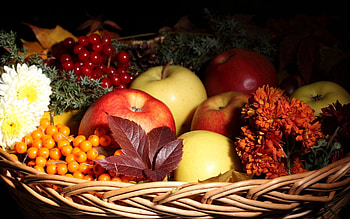 Flowers, Food, Apples, Basket, Rowan HD wallpaper