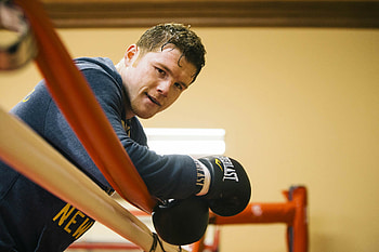 Saul Alvarez, Boxing champion, Stunning , Sports galleries HD wallpaper