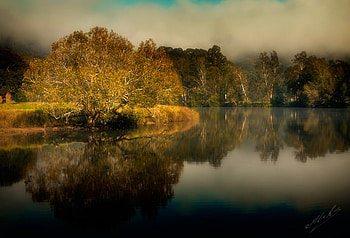 Golden foilage, golden, beautiful, gold, reflections, tree, lake, mist, leaves, fog, autumn HD wallpaper
