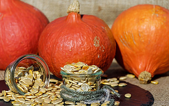 Pumpkin , Macbook pro aesthetics HD wallpaper