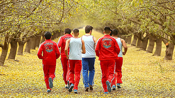 McFarland, USA, Movie Fanart HD wallpaper