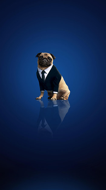 Men in Black: International (2022) movie HD phone wallpaper
