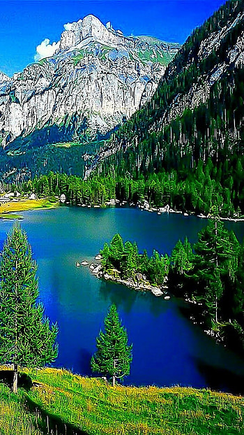 Beautiful Nature, Adorable, Background HD phone wallpaper