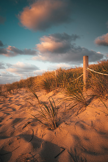 Nature, Grass, Beach, Sand, Fence HD phone wallpaper
