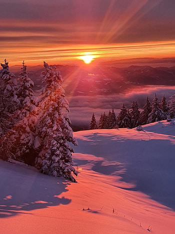 winter, sun HD phone wallpaper
