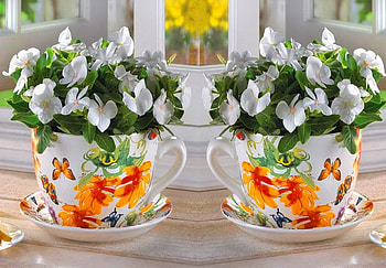 Blooms, cups & butterflies, cups, butterflies, white, green, blooms, orange HD wallpaper