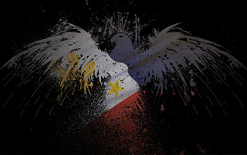 eagle flag 3d . HD wallpaper