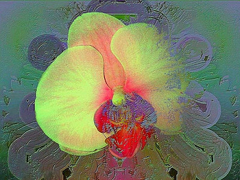 Orchid, artwork, apinting, art, yellow, flower HD wallpaper