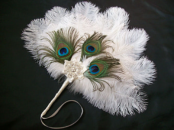 Hand fan, paun, feather, white, black, evantai, peacock HD wallpaper