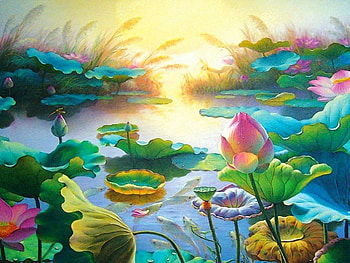 The garden, color, garden, colors, beautiful, flowers, splendor, sun HD wallpaper