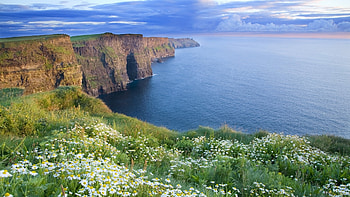 Beautiful View 2, flower, view, sky, beautiful, ocean HD wallpaper
