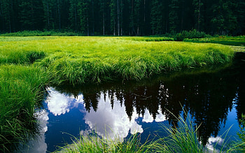 Landscape, Rivers HD wallpaper