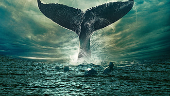 In the Heart of the Sea movie, , Stunning backgrounds, Visual masterpiece HD wallpaper