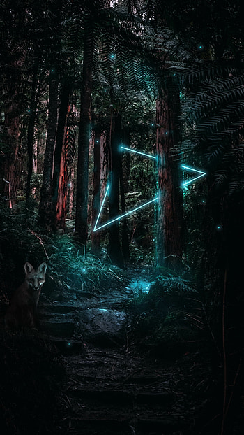 Magic, Fox, Shine, Light, Miscellanea, Miscellaneous, Forest, Triangle HD phone wallpaper
