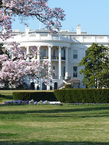 White House, Travels, Ultra , Background HD phone wallpaper
