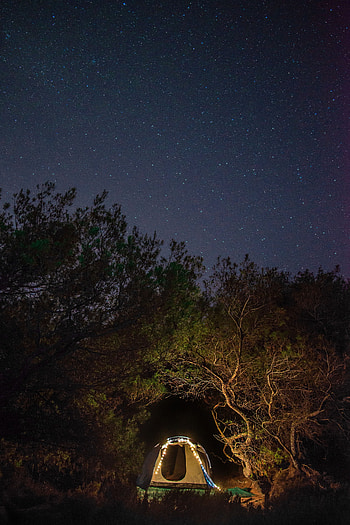 Trees, Night, Dark, Starry Sky, Tent, Camping, Campsite HD phone wallpaper
