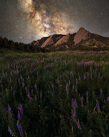Nature, Flowers, Grass, Night, Mountain, Starry Sky, Glade, Polyana HD phone wallpaper
