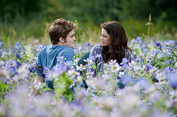 Twilight (2008), man, lovers, girl, edward cullen, vampire, summer, twilight, robert pattinson, saga, amurg, field, flower, bella swan, couple, kristen stewart, blue, movie, fantasy HD wallpaper
