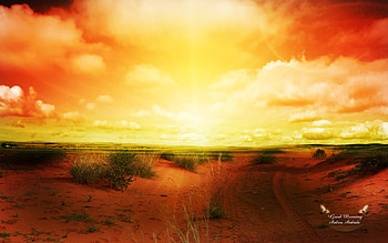 Good Morning , morning HD wallpaper