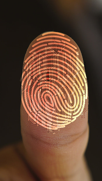 Fingerprint, Fingerprint Punch HD phone wallpaper