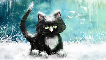 Winter Cat, white, black, kitty, snow, painting HD wallpaper